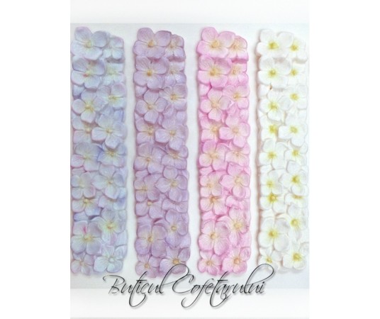 Mulaj bordura tort flori hortensii