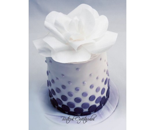 Mulaj silicon dantela decorativa 