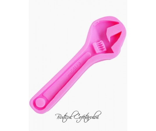 Mulaj cheie franceza 