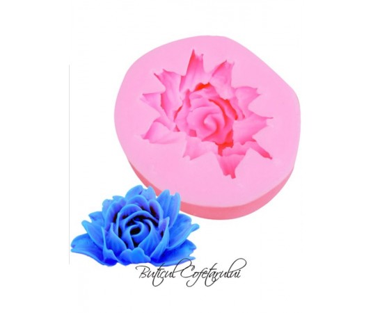 Mulaj floare trandafir 5