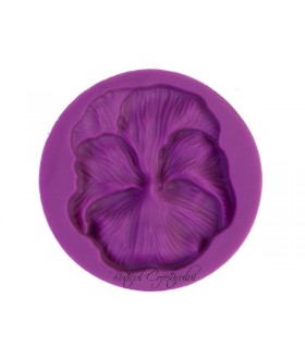 Mulaj floare panseluta