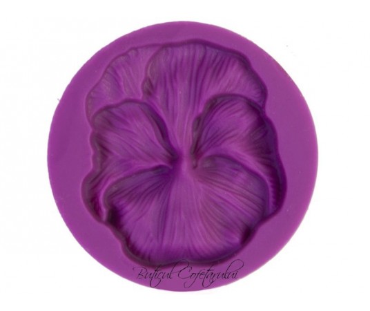 Mulaj floare panseluta