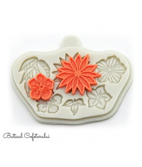 Mulaj flori decorative