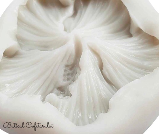 Mulaj floare hibiscus