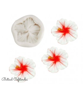 Mulaj floare hibiscus