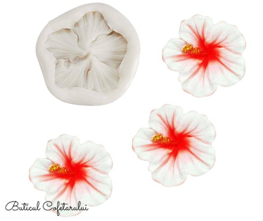 Mulaj floare hibiscus