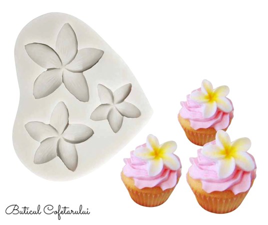 Mulaj floare Plumeria