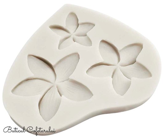 Mulaj floare Plumeria