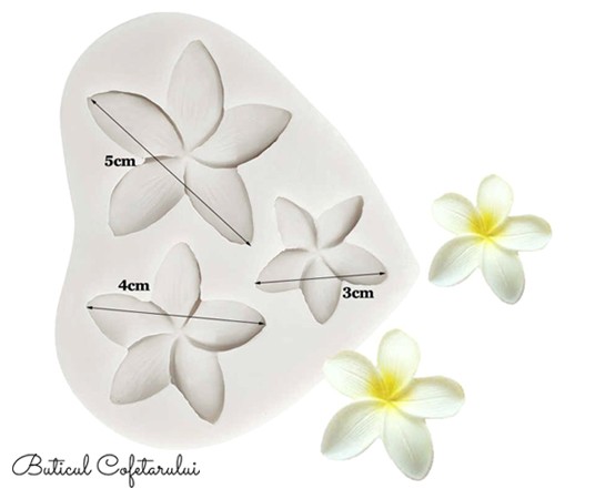 Mulaj floare Plumeria