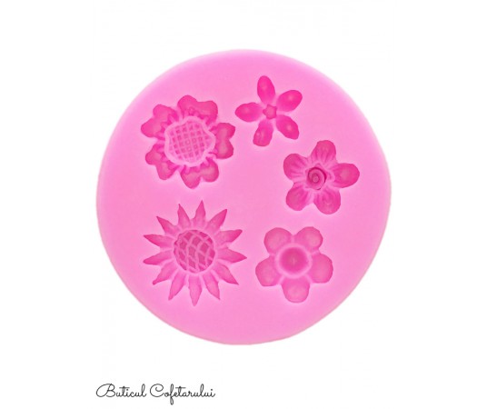 Mulaj flori mixte 5 cavitati