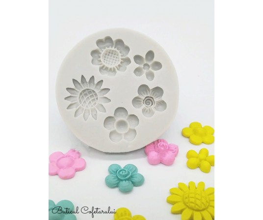 Mulaj flori mixte 5 cavitati