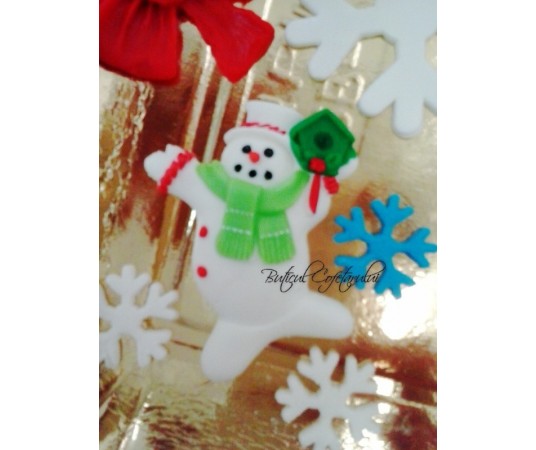 Mulaj silicon om de zapada cu casuta