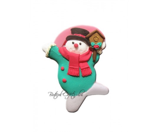 Mulaj silicon om de zapada cu casuta