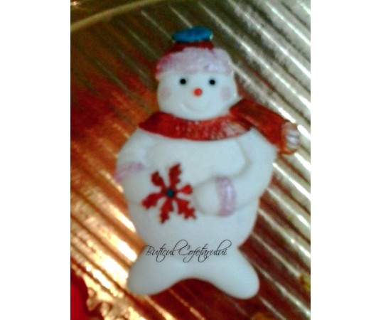 Mulaj om de zapada cu fulg nea