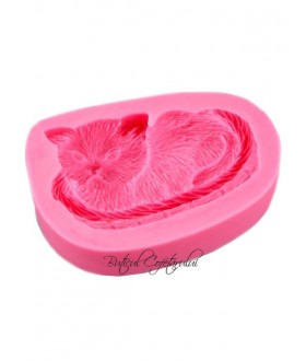 Mulaj silicon pisica in cos