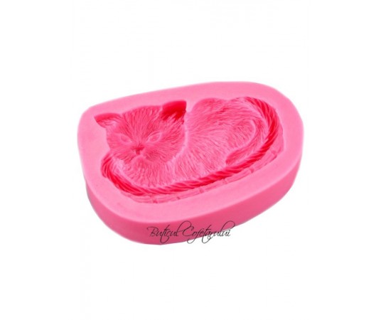 Mulaj silicon pisica in cos