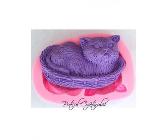 Mulaj silicon pisica in cos