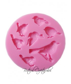 Mulaj silicon pasari