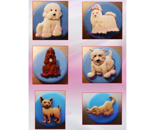 Mulaj silicon catelusi