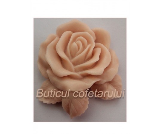 Mulaj floare trandafir cu frunze