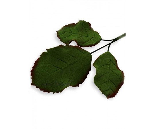 Decupatoare trandafiri frunze