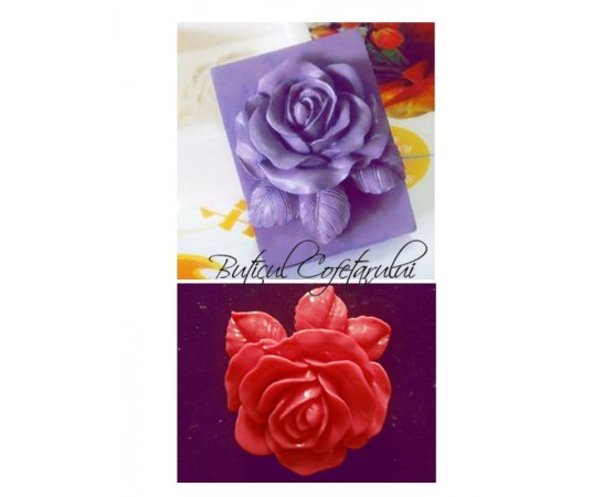 Mulaj floare trandafiri