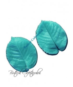 Mulaj veiner frunze trandafir